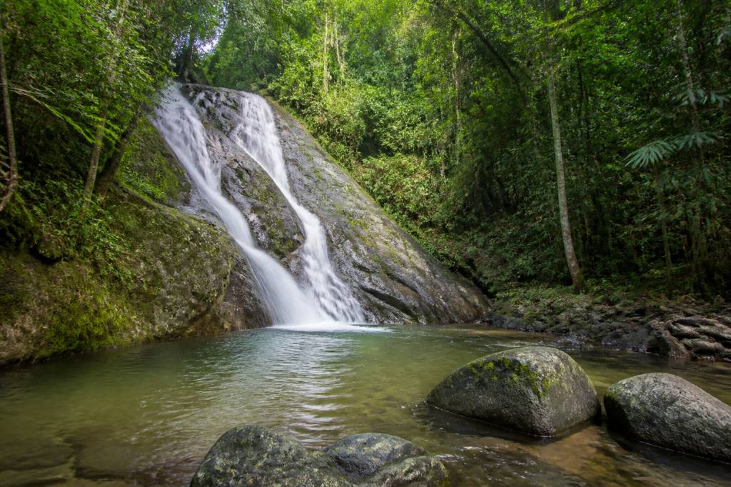 Cachoeira Ubatuba: guia completo para conhecer as melhores trilhas e quedas d’água